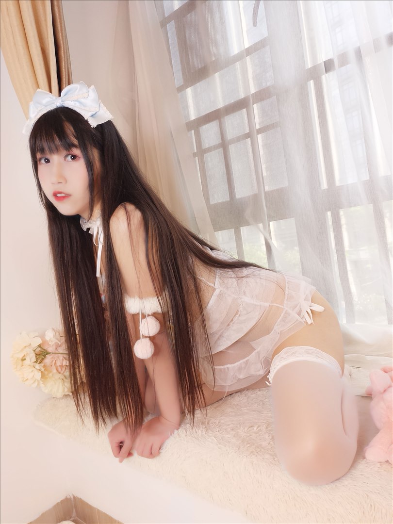 不呆猫 NO.005 自一拍10769