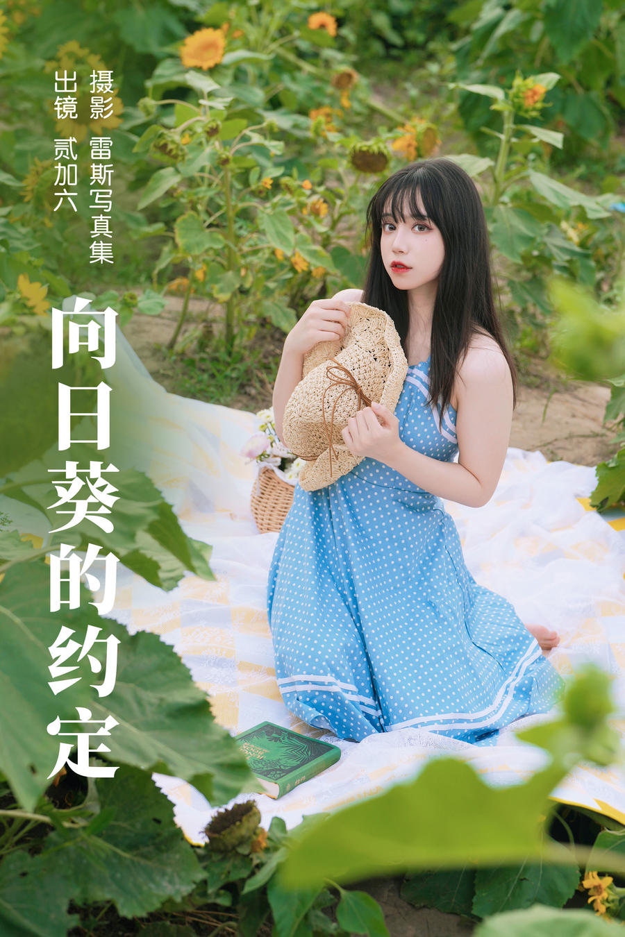 兔子Zzz不吃胡萝卜-向日葵的约定29711