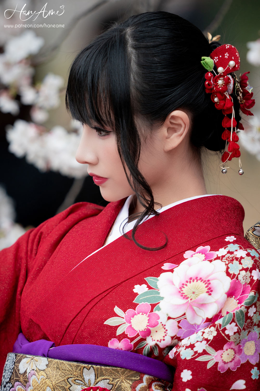 Echi-赤紅和服24155