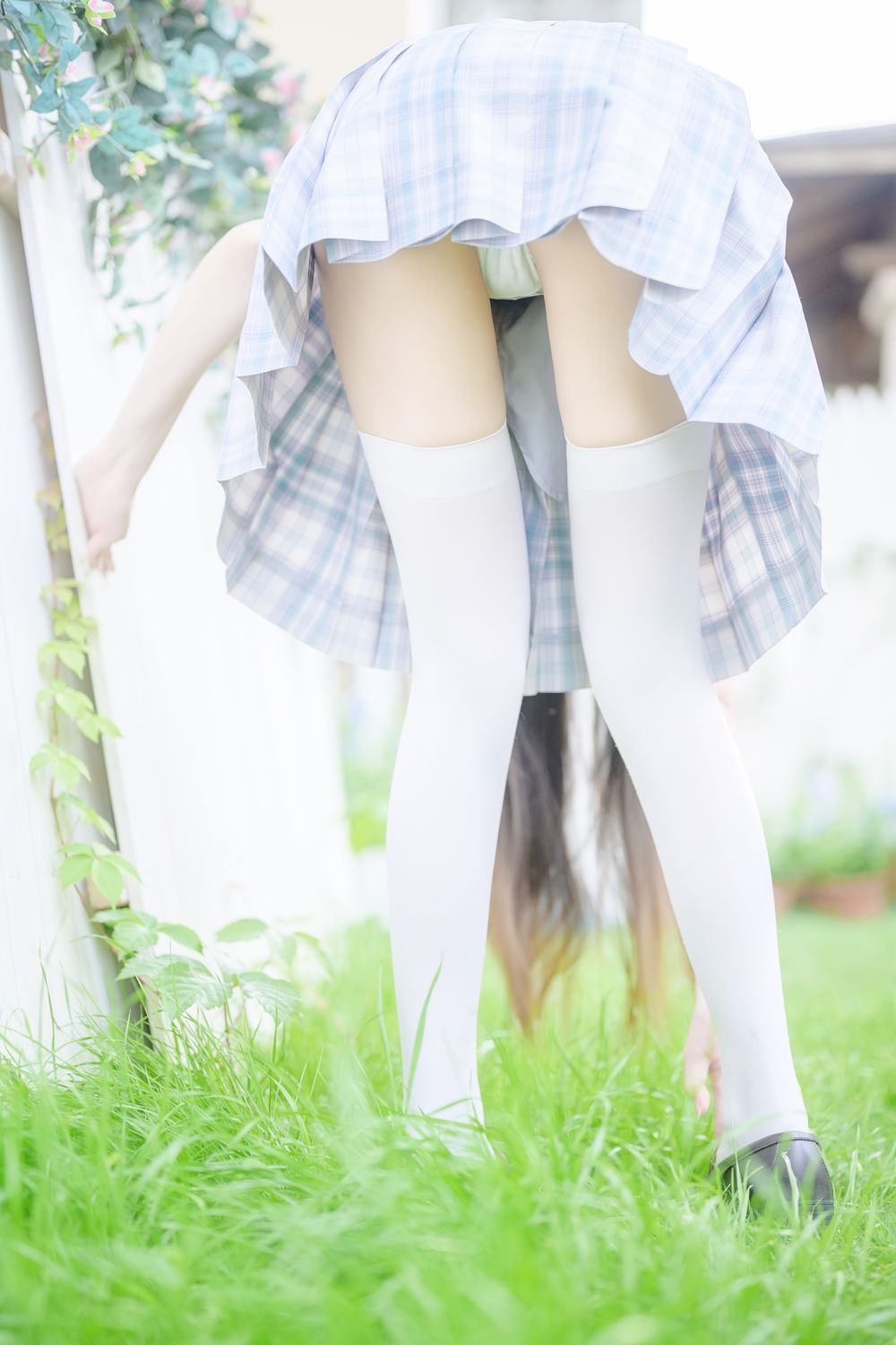香草喵露露：阳光庭院中舞动的夏日花朵-搬砖学院